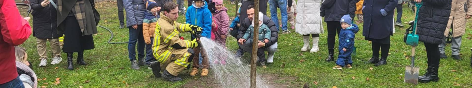 jahrgangspflanzung markranst dt mittel