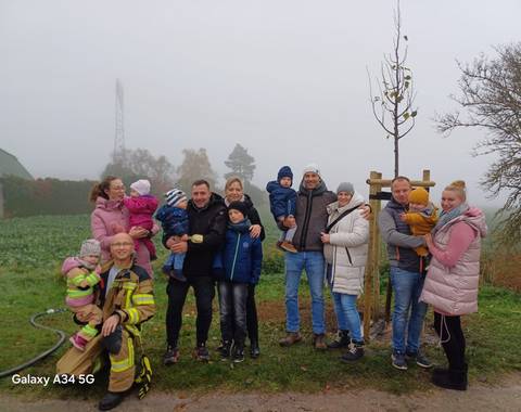 Jahrgangspflanzung Frankenheim (Mittel)