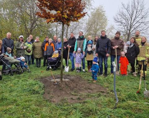 Jahrgangspflanzung Kulkwitz (Mittel)