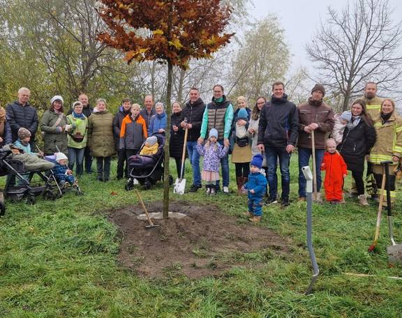 Jahrgangspflanzung Kulkwitz (Mittel)